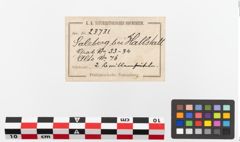 Etiketten zu Bronzebrillenfibel (NHMW-PRAE-023731)
